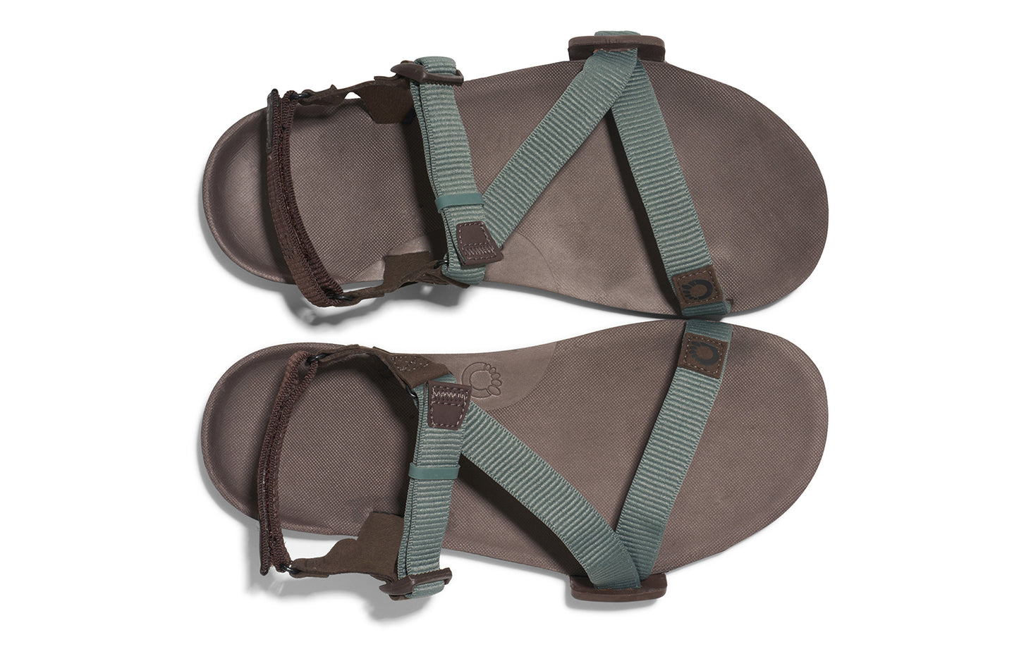 Xero Barefoot Shoes sold in Ontario, Canada. These minimalist shoes have flexible soles, wide toe boxes, and zero drop. Top view of Xero Men's Z-Trail EV in Dark Forest/Java Brown. Trail hiking, running, and recovery sandal.