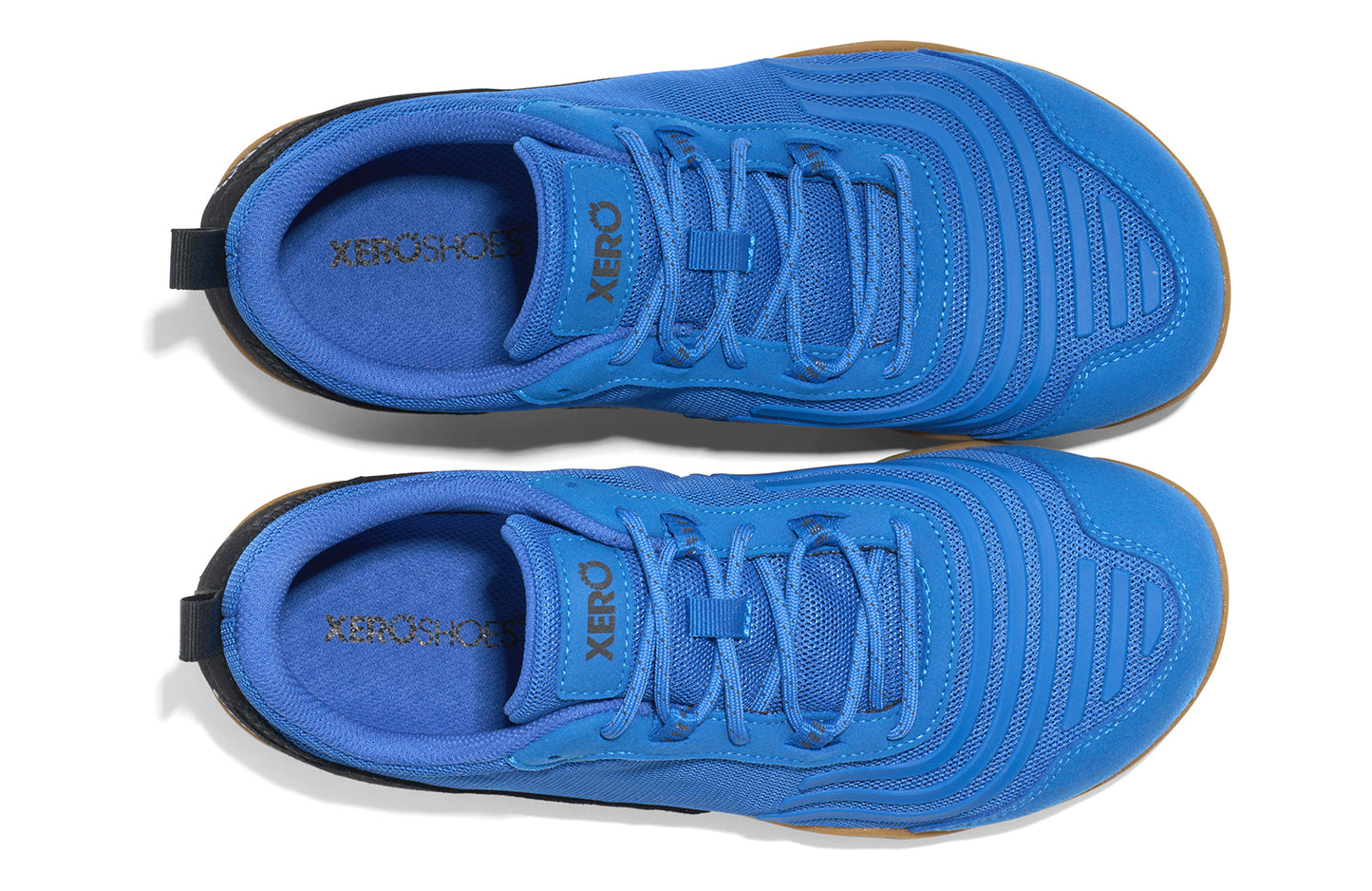 Xero shoes Canada, specifically barefoot running shoes Canada. These minimalist shoes have flexible soles, wide toe boxes, and zero drop. Top view of Xero Men's 360s in Blue Iolite/Black Gum. A cross-training shoe.