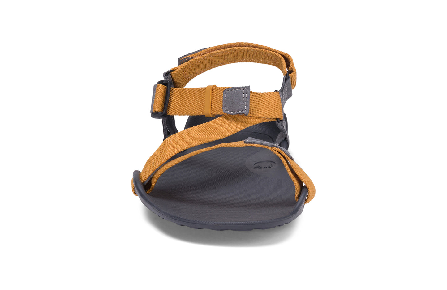 Xero Barefoot Shoes sold in Ontario, Canada. These minimalist shoes have flexible soles, wide toe boxes, and zero drop. Front view of Xero Men's Z-Trek in Nugget, a lightweight packable sport sandal.