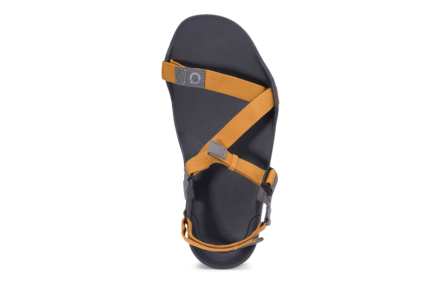 Xero Barefoot Shoes sold in Ontario, Canada. These minimalist shoes have flexible soles, wide toe boxes, and zero drop. Top view of Xero Men's Z-Trek in Nugget, a lightweight packable sport sandal.