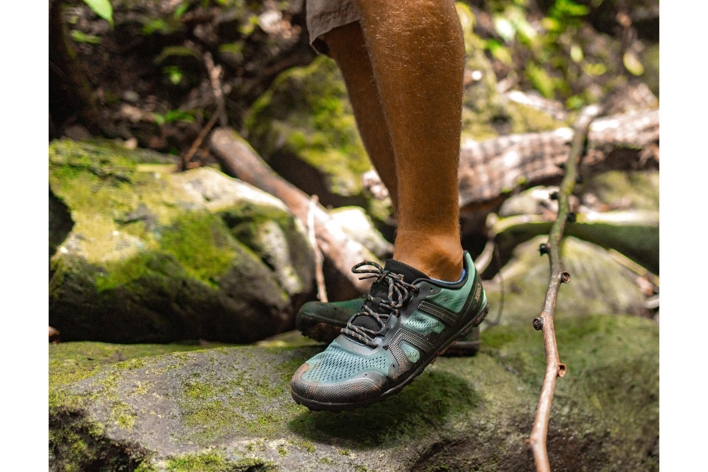 Xero Shoes Canada, specifically barefoot hiking shoes Canada. Man wearing Mesa Trail II while hiking
