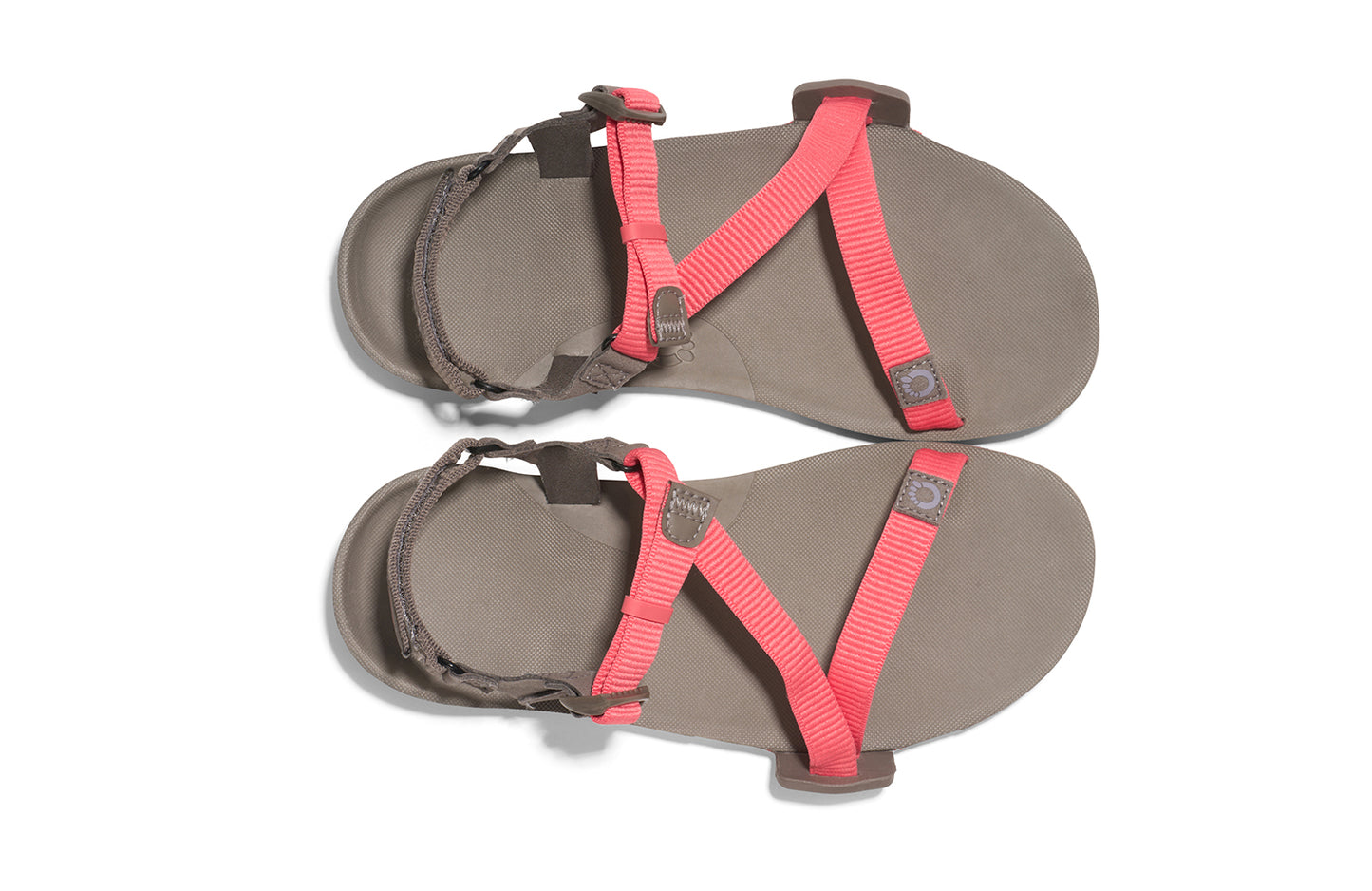Xero Barefoot Shoes sold in Ontario, Canada. These minimalist shoes have flexible soles, wide toe boxes, and zero drop. Top view of Xero Women's Z-Trail EV in Sunset Coral/Morel. Trail hiking, running, and recovery sandal. 