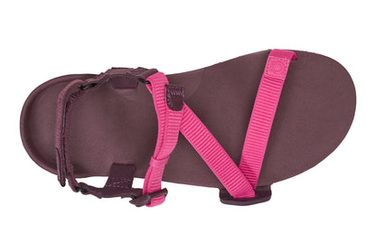 Xero Shoes Canada, specifically women’s barefoot shoes Canada. These minimalist shoes have flexible soles, wide toe boxes, and zero drop. Top view of Xero Women's Z-Trail EV in Fuchsia Purple. Trail hiking, running, and recovery sandal. 