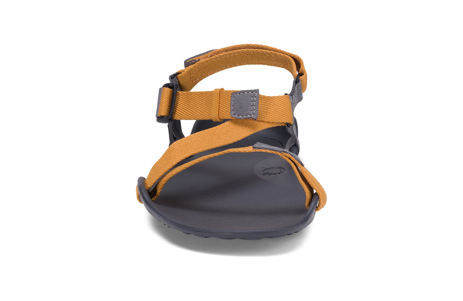 Xero Barefoot Shoes sold in Ontario, Canada. These minimalist shoes have flexible soles, wide toe boxes, and zero drop. Front view of Xero Men's Z-Trek in Nugget, a lightweight packable sport sandal. 